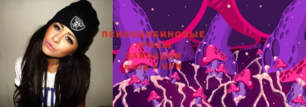 бошки Алексин