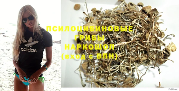 бошки Алексин