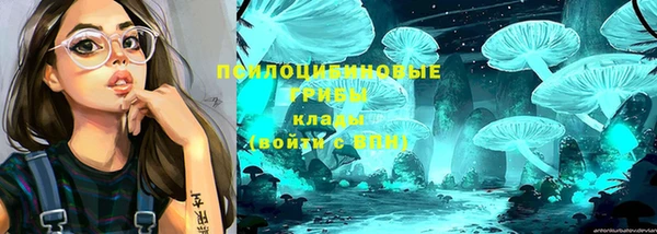 бошки Алексин