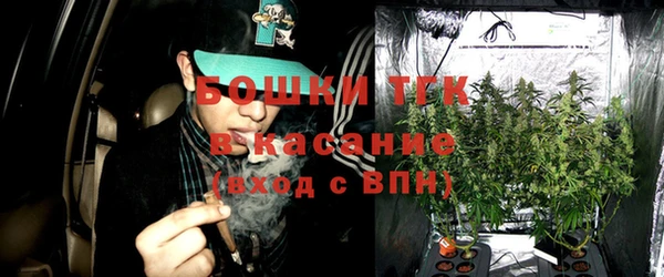 бошки Алексин