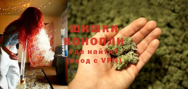 бошки Алексин