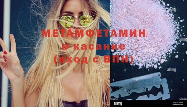 сатива Алзамай