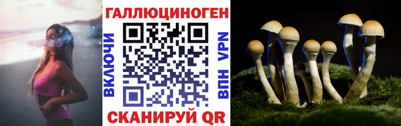 KRAKEN ONION  купить закладку  Инсар  Псилоцибиновые грибы Cubensis 